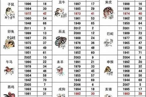 81生肖|81年是什么生肖年